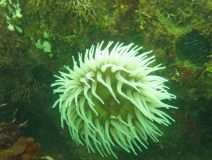 028