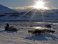 groenland arctic-circle-trail